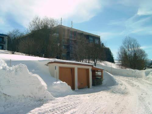 Haus Hochstein Aparthotel Haidmühle Екстериор снимка
